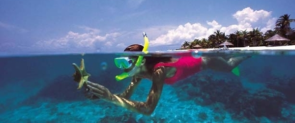 Los mejores lugares para snorkelear en el caribe mexicano